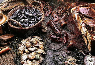 鮑魚圖片高清圖片免費下載 jpg格式 編號15251670 千圖網