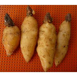 家居配套批發 家居配套供應 家居配套廠家 