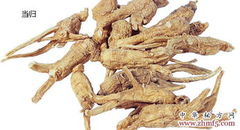 用復方天麻液治頭痛昏迷患者50余人全部有效