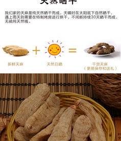 特級昭通紅天麻250g 精品禮盒包裝 包郵