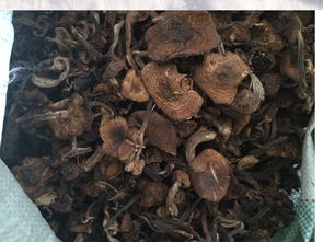 一粒果蔬 農產品 東北榛蘑