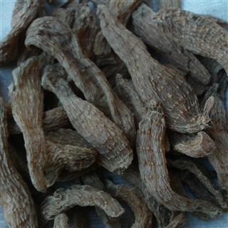 天麻之鄉 河南省南陽市西峽縣的優質天麻