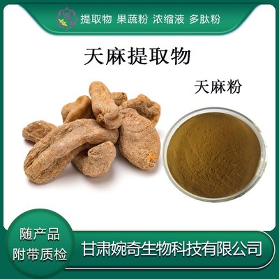 天麻提取物的功效、應(yīng)用與前景