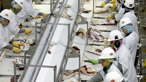 美國肉類工廠疫情危機(jī) 570人集體感染新冠，疫情期間被迫開工的背后