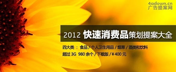 2012年快速消費(fèi)品營銷策劃提案——個(gè)人衛(wèi)生用品銷售專案