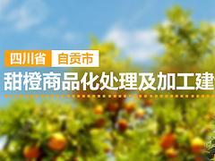 中國名優產品廣告宣傳資訊 生產、價格與制作全解析